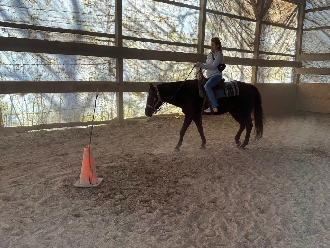 A rider skillfully navigates a horse