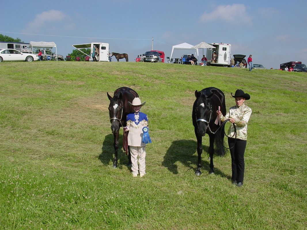 Two person stands on a grassy hill with two horses