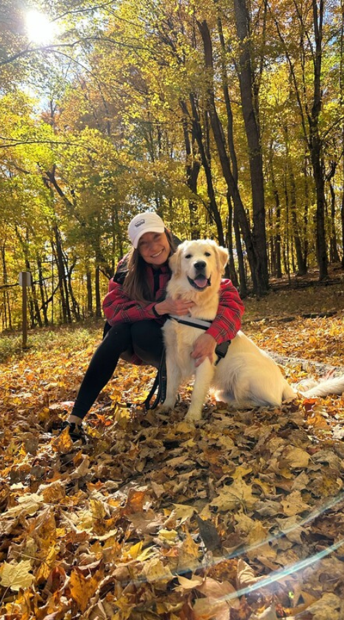 Golden Retriever Dog with Hooman