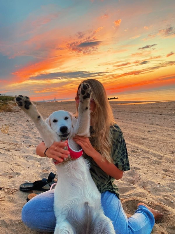 Golden Retriever Dog with Woman