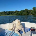 Josie on the boat